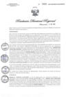 Vista preliminar de documento RDR N° 1449-2021 GOB-REG-HVCA-DIRESA