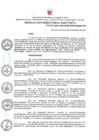 Vista preliminar de documento RDE Nº 167-2023- MIDAGRI-PROVRAEM-DE