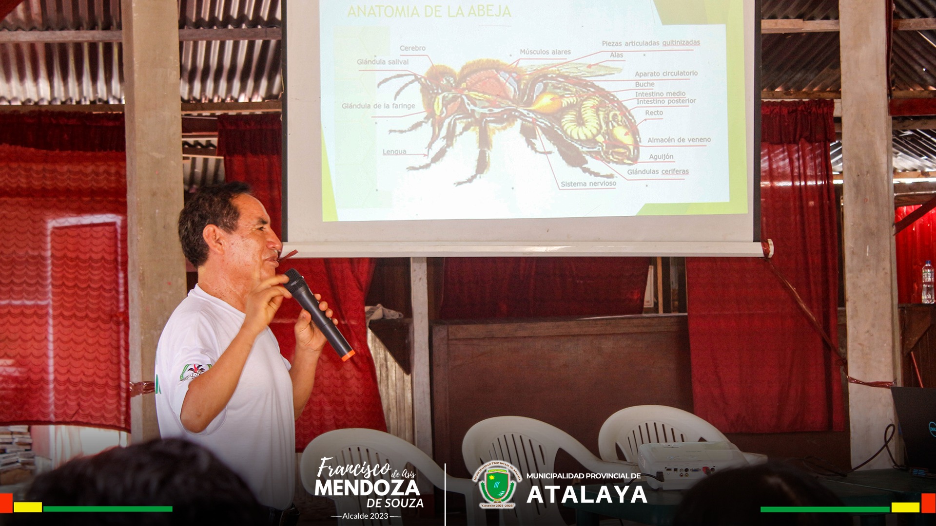 Crianza de abejas