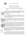 Vista preliminar de documento DA 010-2020