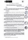 Vista preliminar de documento rd207-2023