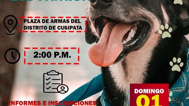 Te invitamos a participar