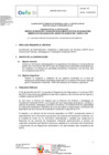 Vista preliminar de documento TDR - 3334