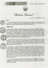 Vista preliminar de documento R.D.N°216-2023-DG-HONADOMANI.SB CONF.COMIS.REASIGN (1)