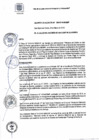 Vista preliminar de documento DA 005-2019