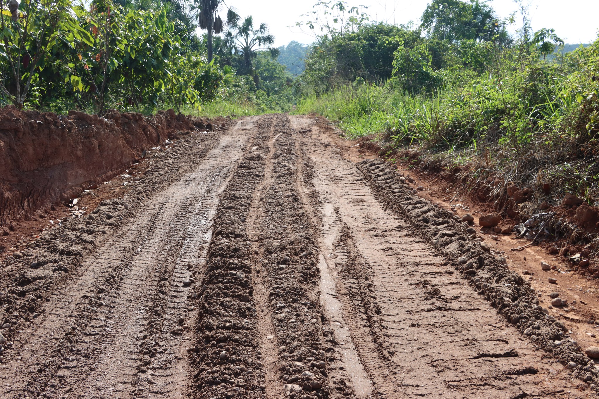 carretera