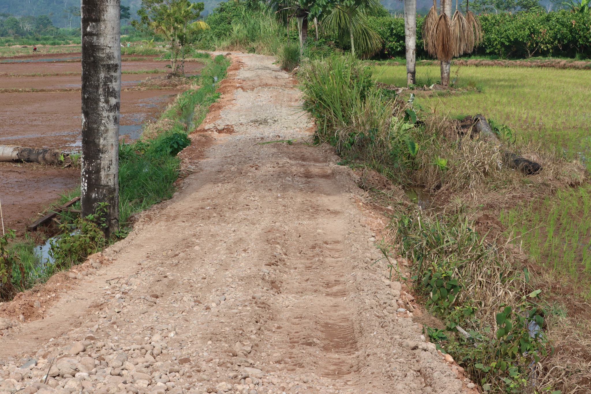 carretera