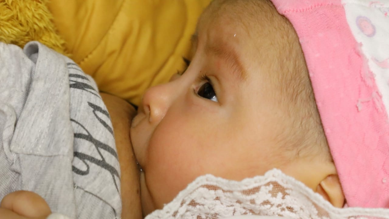 Para prevenir la anemia en el niño, la gestante debe realizarse todos sus controles y alimentarse saludablemente