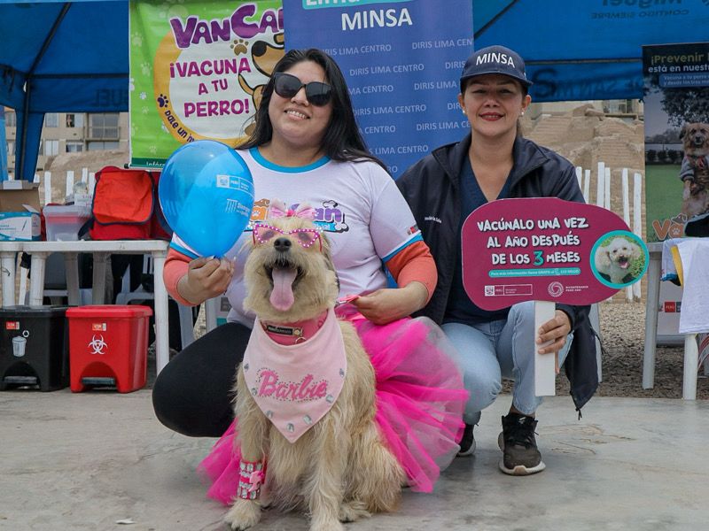 Foto 1 de Van Can: Lanzamiento de campaña de vacunación antirrábica canina se desarrolló en San Miguel 