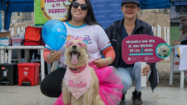 Foto 1 de Van Can: Lanzamiento de campaña de vacunación antirrábica canina se desarrolló en San Miguel 