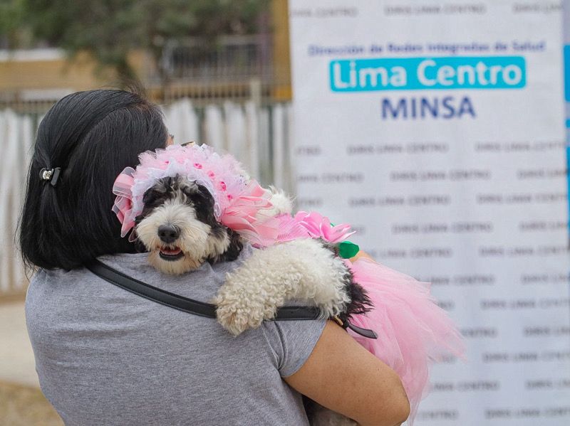 Foto 5 de Van Can: Lanzamiento de campaña de vacunación antirrábica canina se desarrolló en San Miguel 
