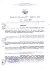 Vista preliminar de documento RD Nº 0165 