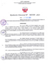 Vista preliminar de documento RD Nº 0166 