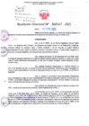 Vista preliminar de documento RD Nº 0167 