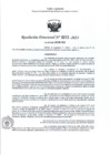 Vista preliminar de documento RD- 0013