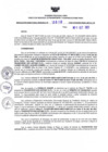 Vista preliminar de documento RDR N° 0610-2023-11-10-2023