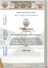 Vista preliminar de documento BASES PARA ESCANEADAS PAR PUBLICAR EN PORTAL