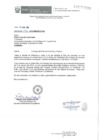 Vista preliminar de documento Oficios de Entrega del Plan de Consulta