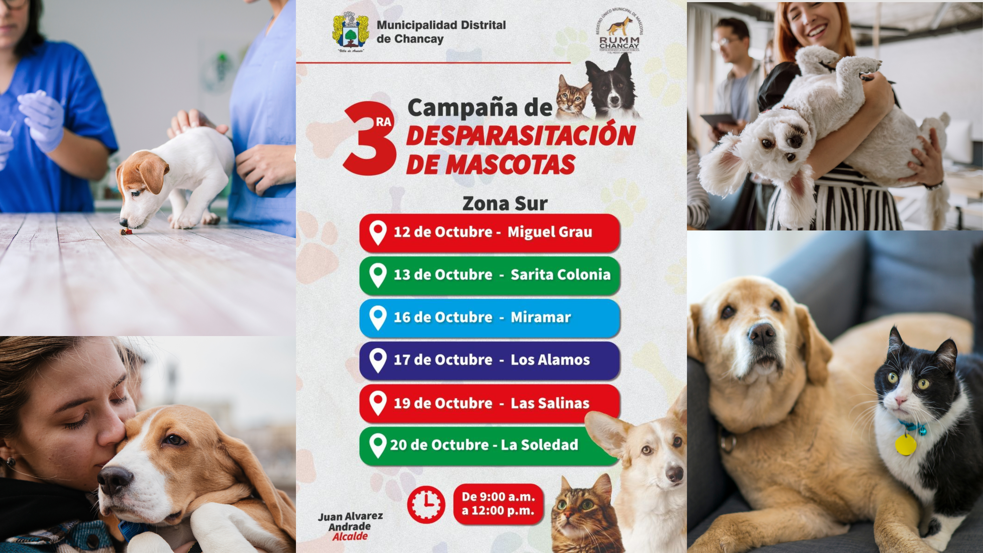 Nuestro objetivo principal es garantizar la salud y el bienestar de nuestras queridas mascotas, la misma que busca proteger a los animales de enfermedades que incidentalmente pueda contagiar a las personas, y dada la época propicia para la aparición de ectoparásitos como pulgas, garrapatas, ácaros y parásitos gastrointestinales. Por lo que los invitamos a aprovechar esta oportunidad única para asegurar el cuidado y protección adecuada de las mascotas de nuestro distrito.
