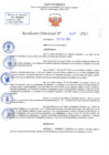 Vista preliminar de documento RD N 431