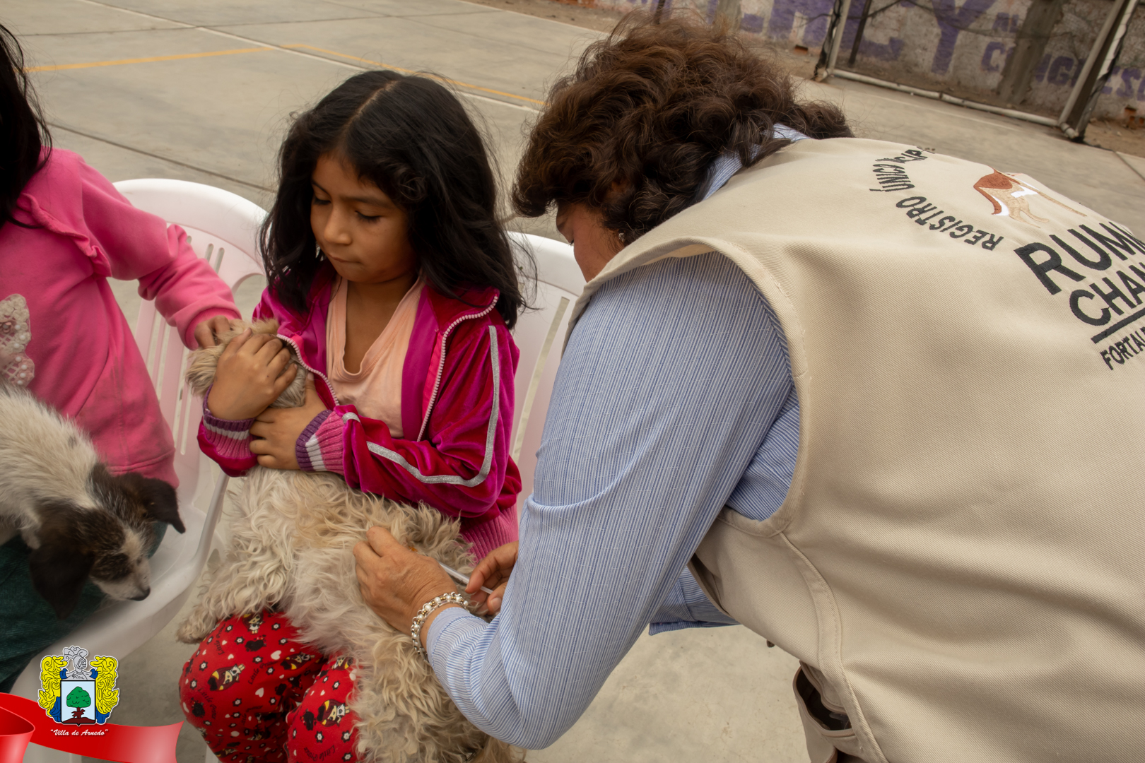 El Registro Único Municipal de Mascotas en el distrito de Chancay se complace en anunciar la exitosa realización de la III Campaña de Desparasitación. Esta campaña, diseñada para promover el cuidado externo de nuestras queridas mascotas, ha demostrado ser una herramienta fundamental para mantener a los animales de pulgas, garrapatas y otros insectos perjudiciales para su salud.
