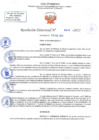 Vista preliminar de documento RD N 449