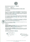 Vista preliminar de documento resolucion0202010