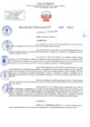 Vista preliminar de documento RD N 452