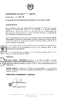 Vista preliminar de documento resolucion1332008