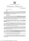 Vista preliminar de documento RD 183