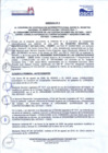 Vista preliminar de documento Adenda N° 02 al Convenio de Cooperación Interinstitucional entre el RENIEC y el OSCE