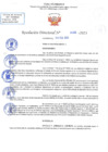 Vista preliminar de documento RD N 455
