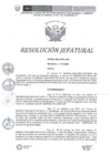 Vista preliminar de documento Resolucion Jefatural N0084-2023-INPE-OIP
