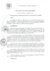 Vista preliminar de documento RA 032-2021