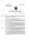Vista preliminar de documento R.D. 1796-2023