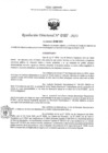 Vista preliminar de documento RD- 0187