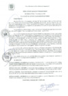 Vista preliminar de documento RA 035-2021