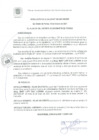Vista preliminar de documento RA 036-2021