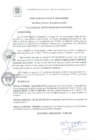 Vista preliminar de documento RA 039-2021