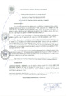 Vista preliminar de documento RA 040-2021