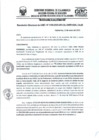 Vista preliminar de documento RD- 0195