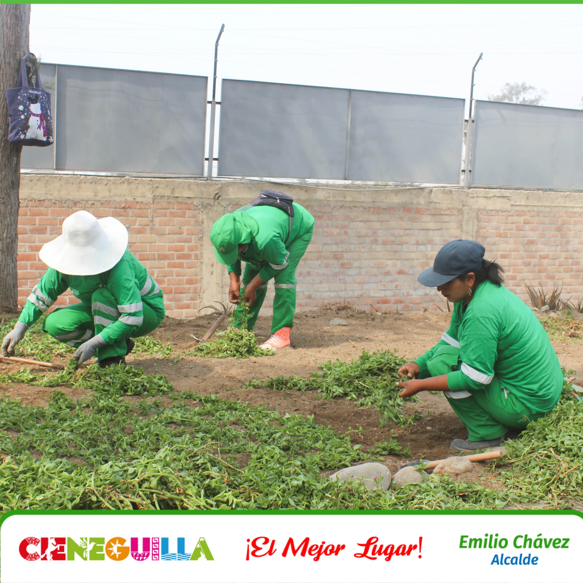 Imagen Cieneguilla