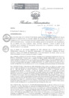 Vista preliminar de documento RA 088 OEA 2023