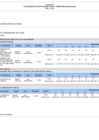 Vista preliminar de documento Anexo B5 -  Plan Operativo Institucional Física y Financiera