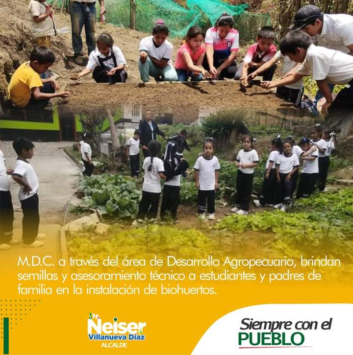MDC. Atreves del área agropecuario, brindan semillas y asesoramiento técnico a estudiantes y padres de familia en la instalación de biohuertos.