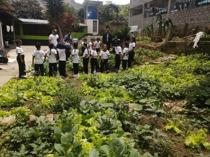 MDC. Atreves del área agropecuario, brindan semillas y asesoramiento técnico a estudiantes y padres de familia en la instalación de biohuertos.