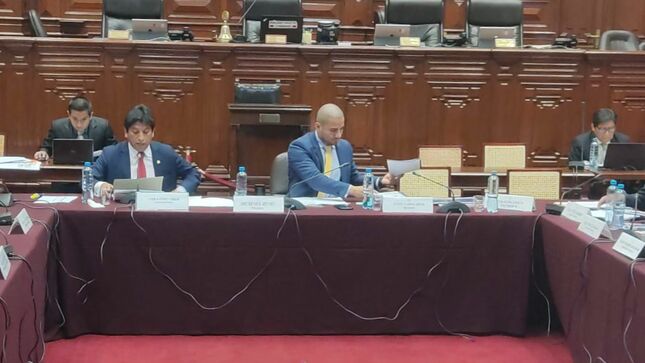 Defensor del pueblo sustenta presupuesto 
