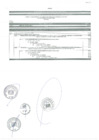 Vista preliminar de documento ANEXO MODIFICACION PRESUPUESTARIA EN EL NIVEL INSTITUCIONAL-FUENTE DE FINANCIAMIENTO 3 RECURSOS POR OPERACIONES OFICIALES DE CREDITO