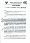 Vista preliminar de documento RD- 0230