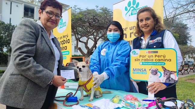 Más de 205 000 canes serán vacunados contra la rabia en distritos de Lima sur